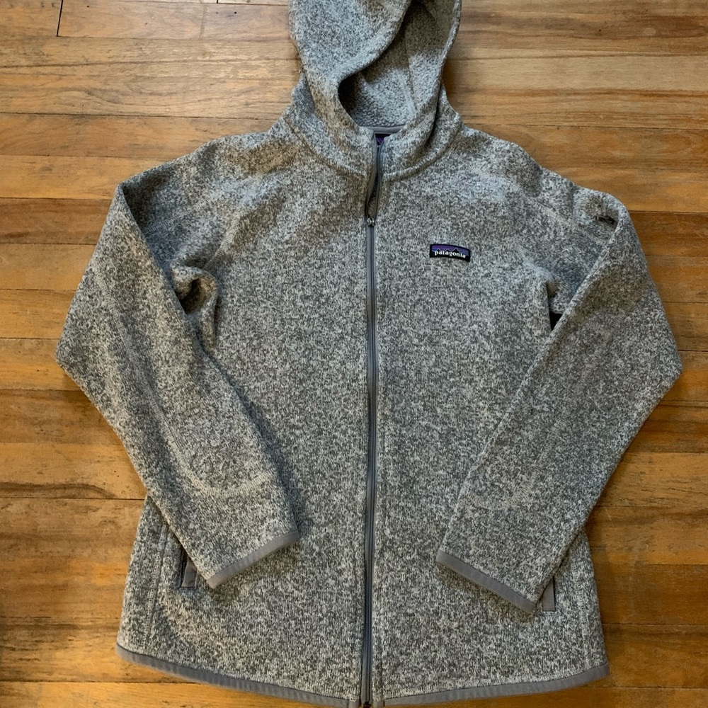 Patagonia Better Sweater Hoody